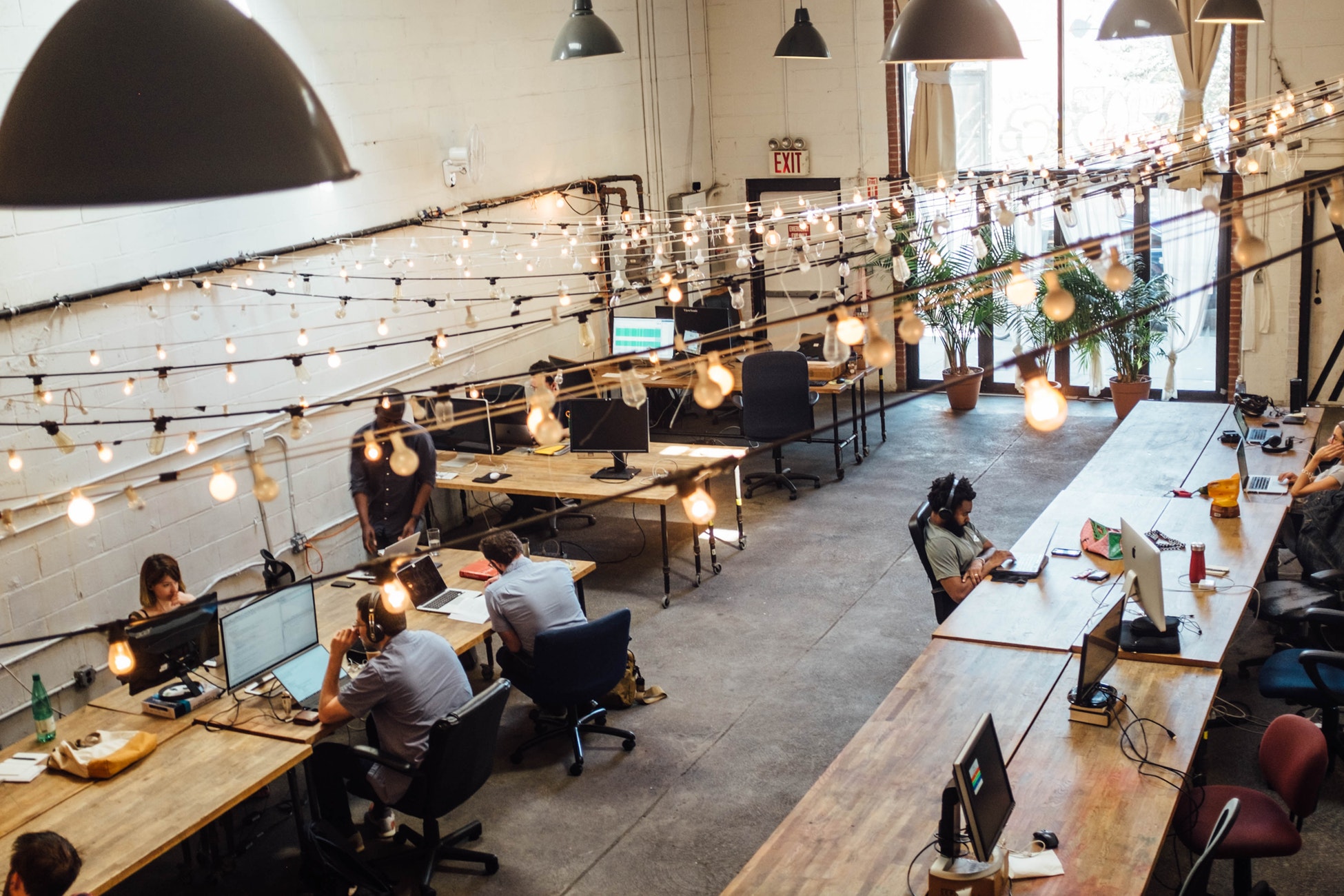 A Spacious Open Office Filled With People Focused On Their Work at Individual Desks.